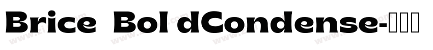 Brice  Bol dCondense字体转换